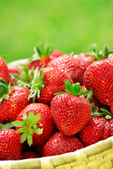 Fresh strawberries