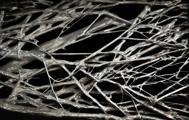 Dried Branches, Natural Background