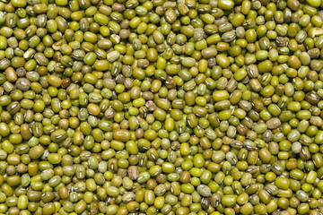 green mash