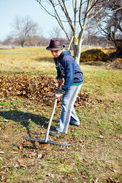 Kid cleaning in an walnut orchard