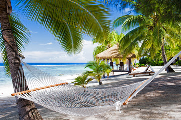 Empty hammock between palm trees on a beach - obrazy, fototapety, plakaty