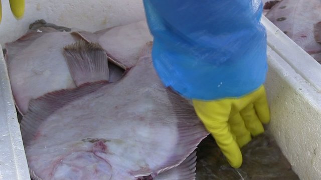 poissonier