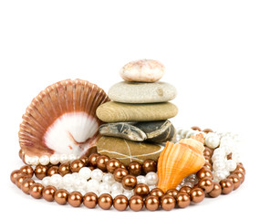 Beautiful exotic shell and stones, pearls