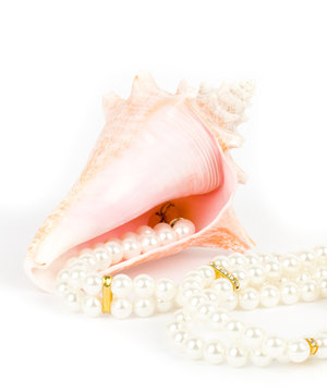 Beautiful exotic shell and pearls on white background.