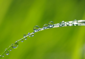 water drops