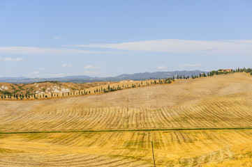 Fototapeta na wymiar Landscape in Val d'Orcia (Tuscany)
