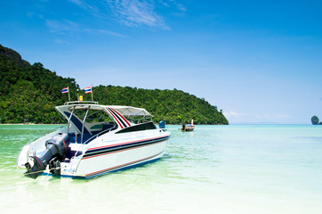 speed boat in sea