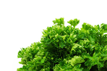 Obraz premium green parsley