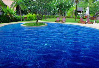 tropical swimming pool