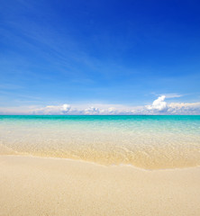 tropical beach in Maldives. sea landscape