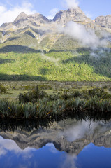 Naklejka premium Mirror lakes, Milford Sound (New Zealand)