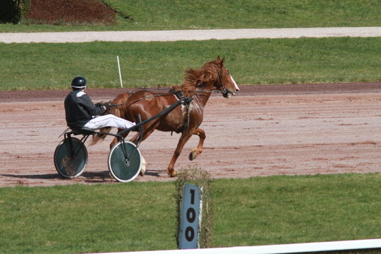 course hippique
