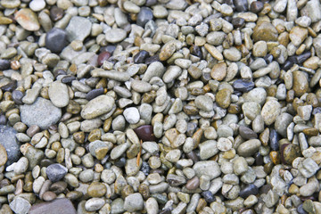 Pebbles
