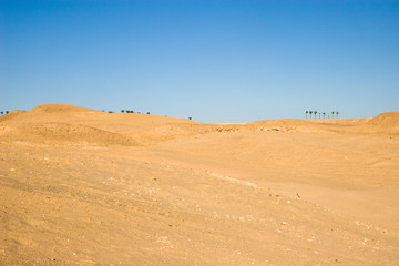 Fototapeta na wymiar Egyptian desert