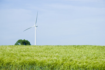 Fototapeta na wymiar Wind Turbines at the Field