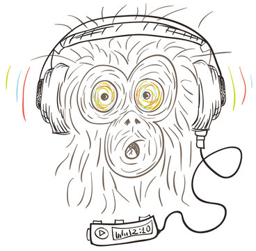 Monkey listens the music