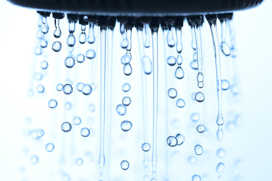 Shower head. © Janis Smits