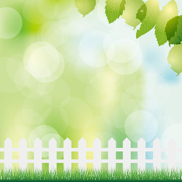 spring background with fence and grass