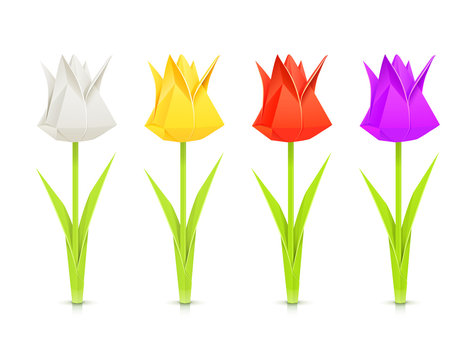 set of tulips paper origami flowers vector illustration
