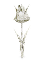 tulip paper origami flower vector illustration isolated on - obrazy, fototapety, plakaty