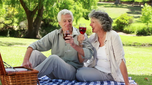 Mature couple clinking their glasses of red wine