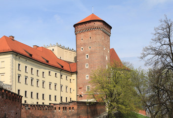 Fototapeta na wymiar Wawel w Krakowie