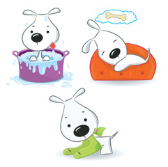 Obraz premium Three funny puppies.Isolated on white