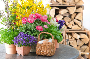 Fototapeta na wymiar kolorowe wiosenne kwiaty i pisanki dekoracji