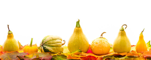 Colorful autumn leaves with Pumpkin