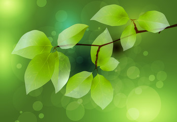 Fresh green leaves vector background.