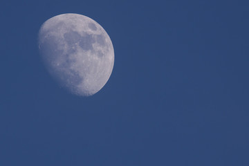 Moon at dawn