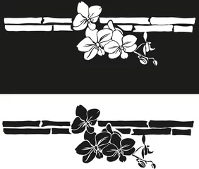 Abwaschbare Fototapete Blumen schwarz und weiß Orchideenzeichnung