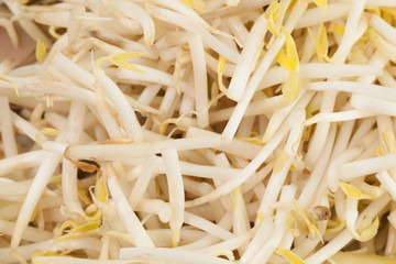 Close up of Bean Sprouts