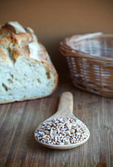 Spelt seed grains with artisan loaf in the background