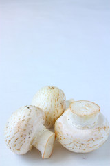 mushrooms background