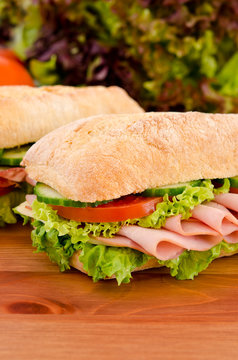 Closeup of chicken breast sandwich