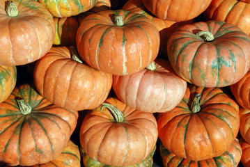 Pumpkin Pile with Variations
