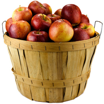 Basket Of Apples