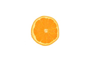 ミネオラの断面