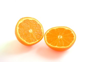 ミネオラの断面