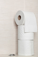 Stack of toilet rolls on top of a flush toilet in a bathroom