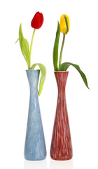 Spring flowers in vases isolated on white