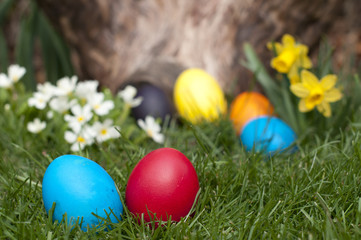 Easter eggs