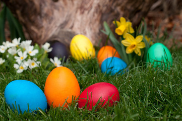 Easter eggs