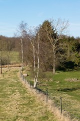 Fototapeta na wymiar Pastures with fence and trees in early spring