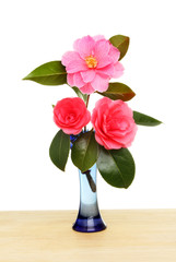 Camellias in vase