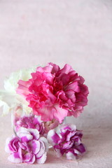 Carnations