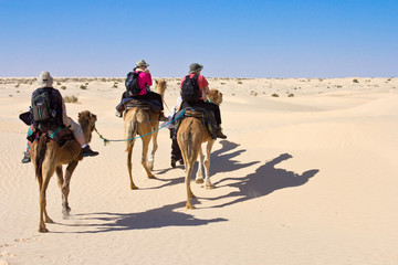Touristes à dos de dromadaire dans le désert