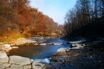 River in the forest.