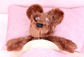 Sick bear in bed